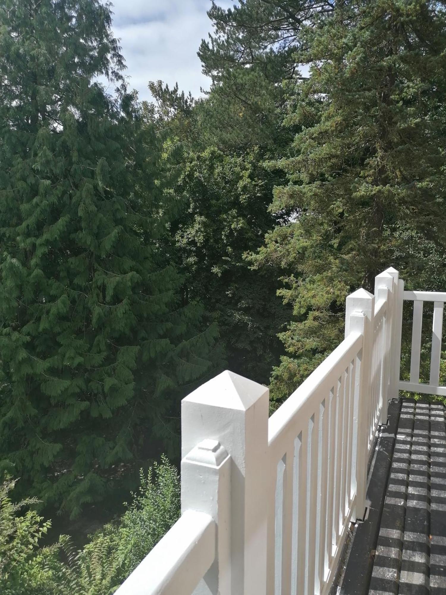 Villa Eliane - Parking Prive Etretat Ngoại thất bức ảnh