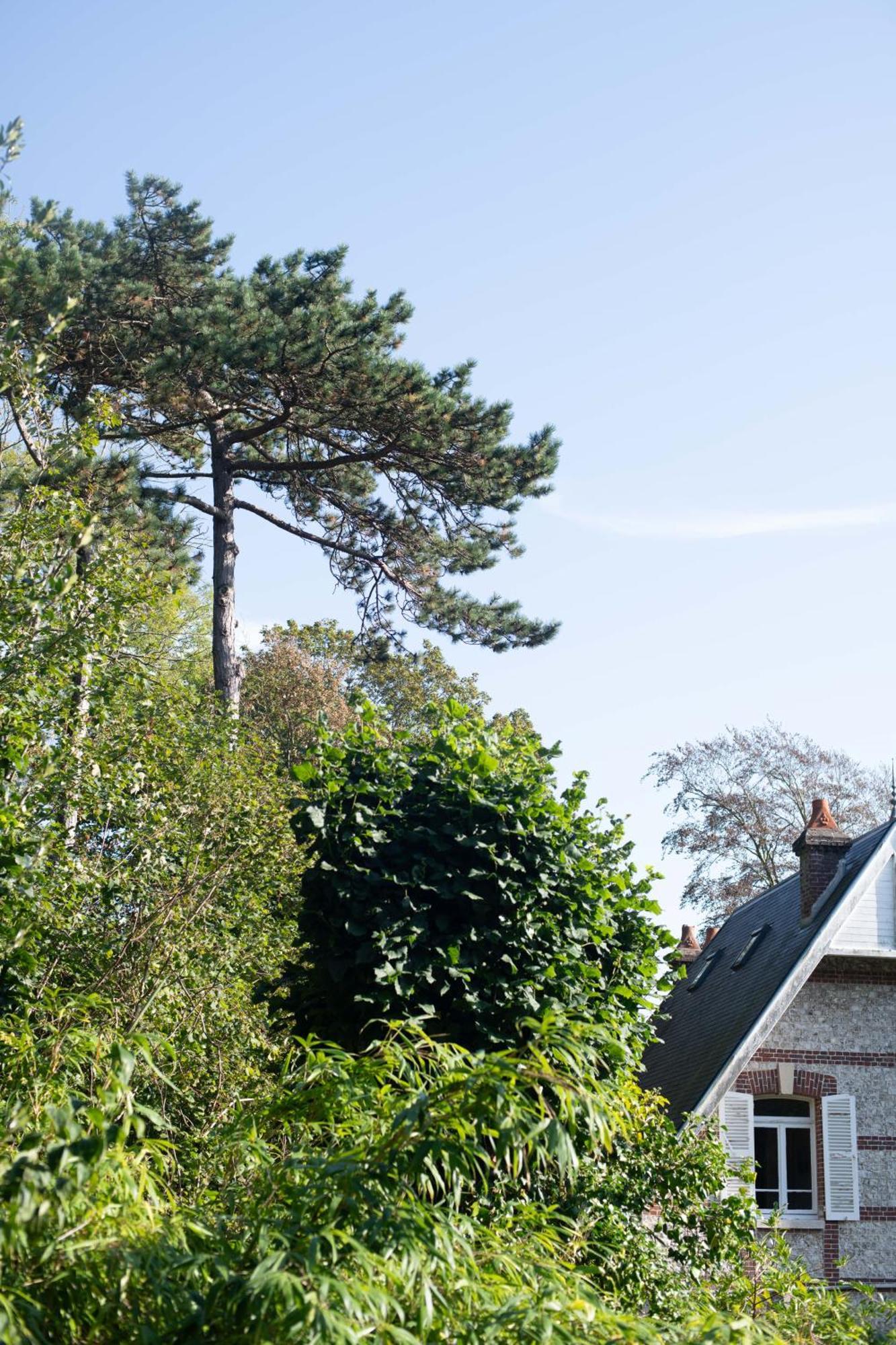 Villa Eliane - Parking Prive Etretat Ngoại thất bức ảnh